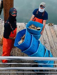 Whale Watching Depoe Bay 